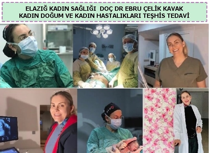 Doktor
